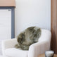 Olive Green Icelandic Sheepskin 