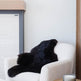Shorn Black Icelandic Sheepskin EX-STOCK Canada 