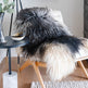 Natural Curly Grey Icelandic Sheepskin EX-STOCK Canada 