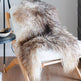 Natural Curly Grey Icelandic Sheepskin EX-STOCK Canada 
