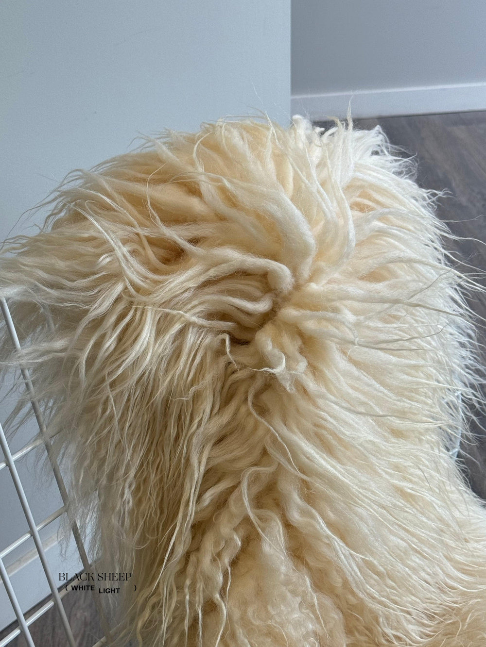 White Icelandic Curly Sheepskin 