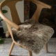 Shorn Brown Icelandic Sheepskin Chair Pad 