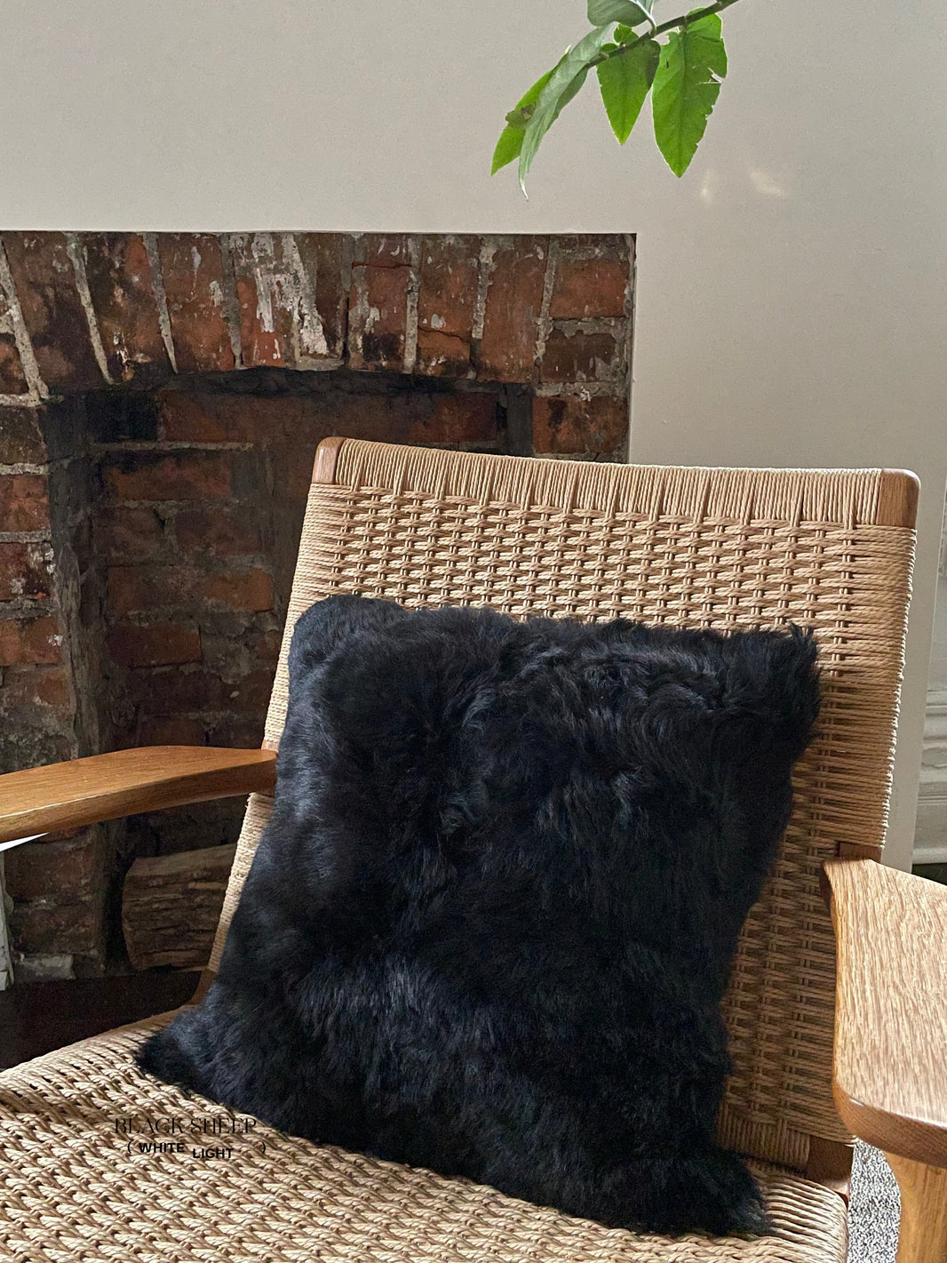 Square Shorn Black Icelandic Sheepskin Pillow Cover EX-STOCK Canada 