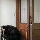 Black Double Icelandic Sheepskin 