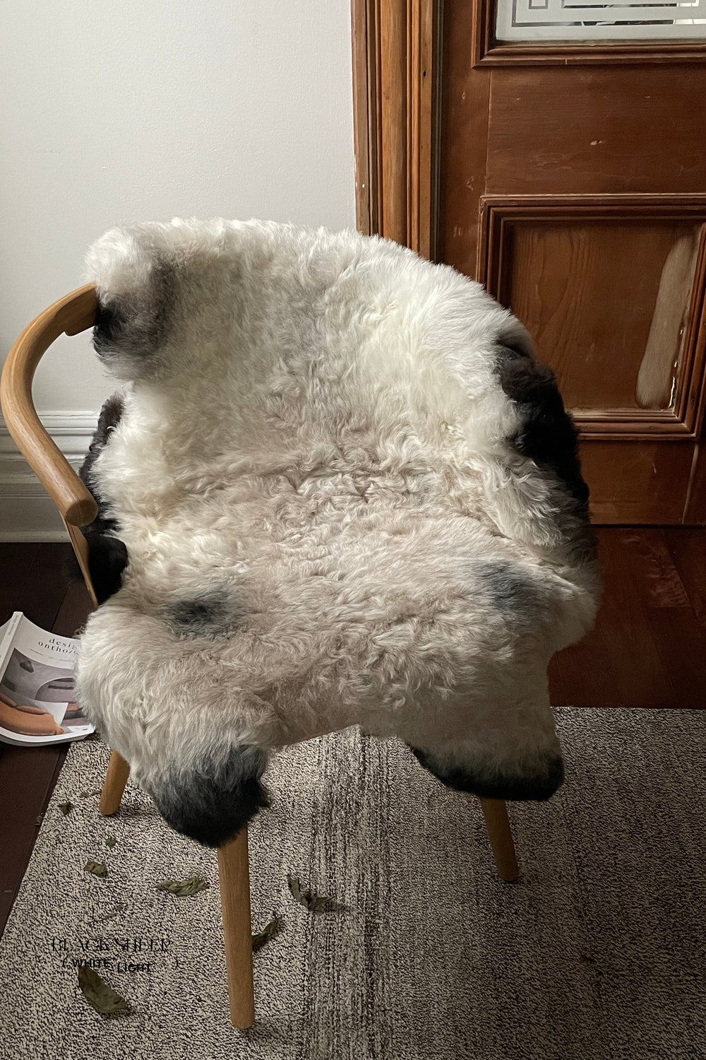 Shorn Dark Grey Edge Icelandic Sheepskin 