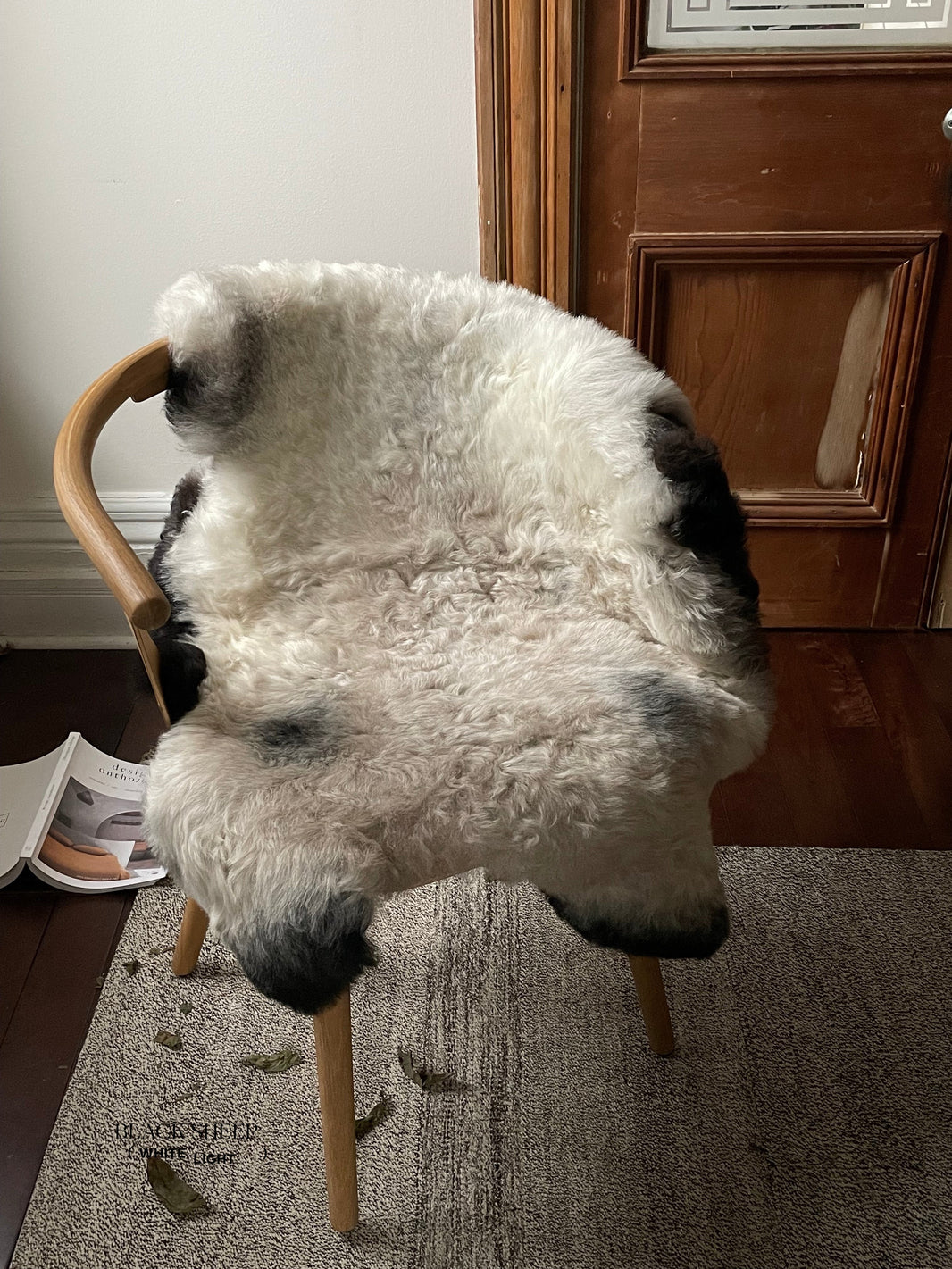 Shorn Dark Grey Edge Icelandic Sheepskin 