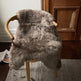 Shorn Taupe Icelandic Sheepskin EX-STOCK Canada 