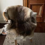 Dark Sami Reindeer Hide EX-STOCK Canada 