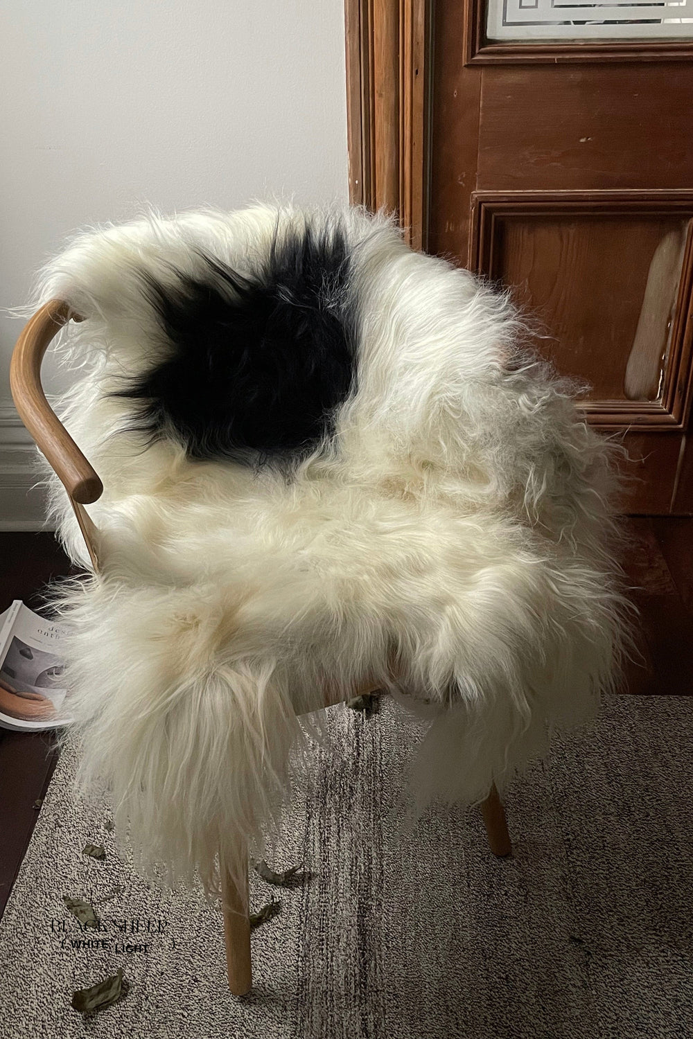 Black Spotted Icelandic Sheepskin | Random 