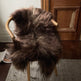 Dark Brown Icelandic Sheepskin EX-STOCK Canada 