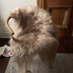 Camel Icelandic Sheepskin EX-STOCK Canada 