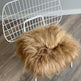 Camel Icelandic Sheepskin Chair Pad EX-STOCK Canada 