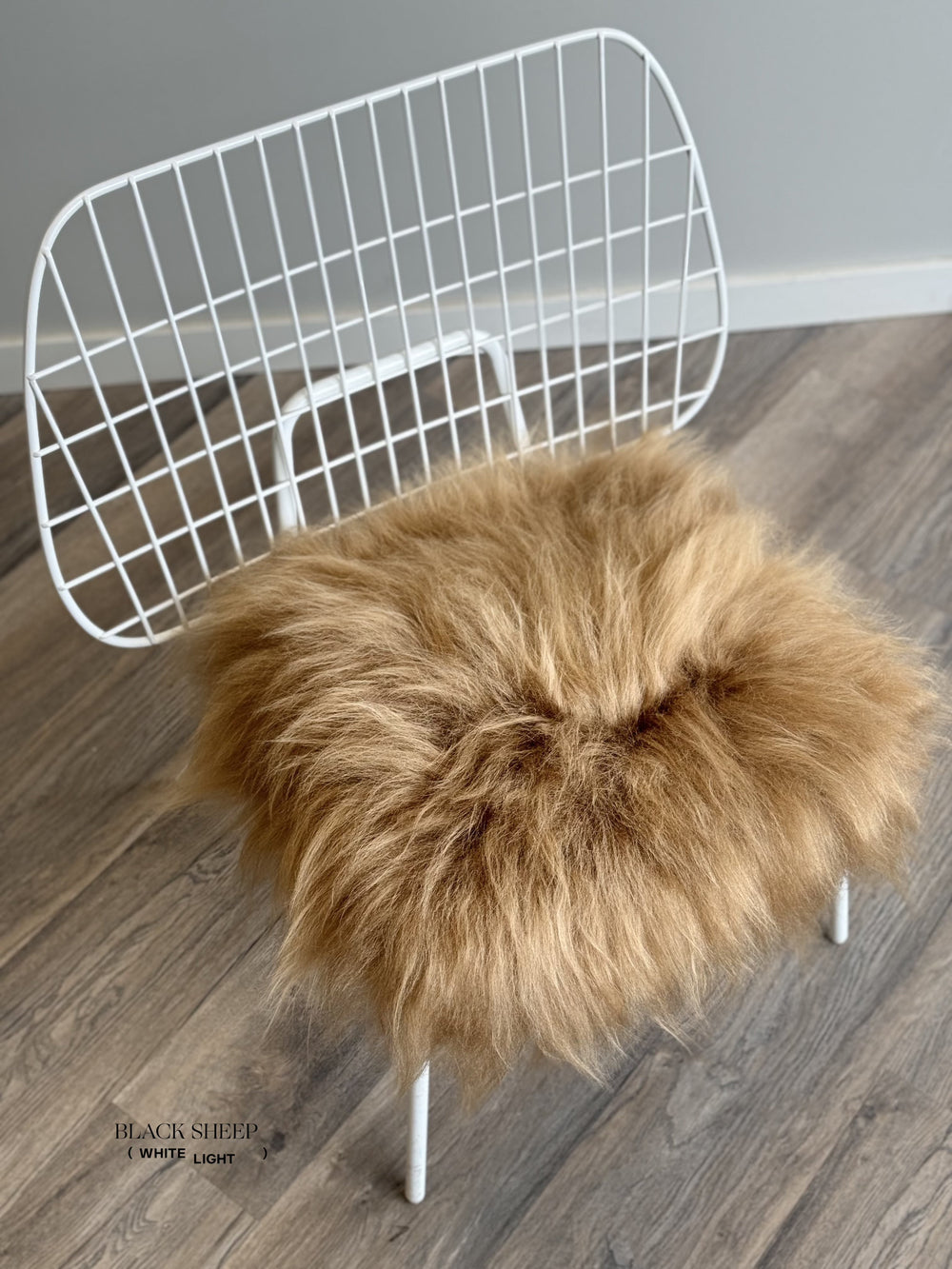 Camel Icelandic Sheepskin Chair Pad EX-STOCK Canada 