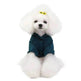 Kitty dog clothes clothing supplies teddy - EX-STOCK Canada