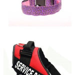 LED Dog Collar Safety Adjustable Nylon Leopard Pet Collar EX-STOCK Canada 