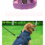 LED Dog Collar Safety Adjustable Nylon Leopard Pet Collar EX-STOCK Canada 
