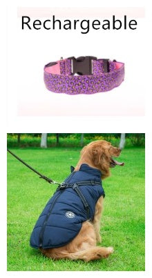 LED Dog Collar Safety Adjustable Nylon Leopard Pet Collar EX-STOCK Canada 