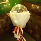 LED Luminous Balloon Rose Bouquet Transparent Bobo Ball Rose EX-STOCK Canada 