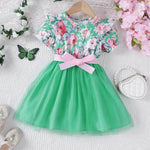 Girls Puff Sleeve Flower Printed Mesh Dress Baby girl dress gown - EX-STOCK Canada