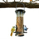 Pet Bird Feeder Feed Station Hanging Garden Plastic Birds Food Dispenser Feeders Outdoor Tree Garden Decoration EX-STOCK Canada 