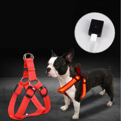 Pet Products LED Luminous Dog Chest Strap Large Dog Luminous Dog Leash EX-STOCK Canada 