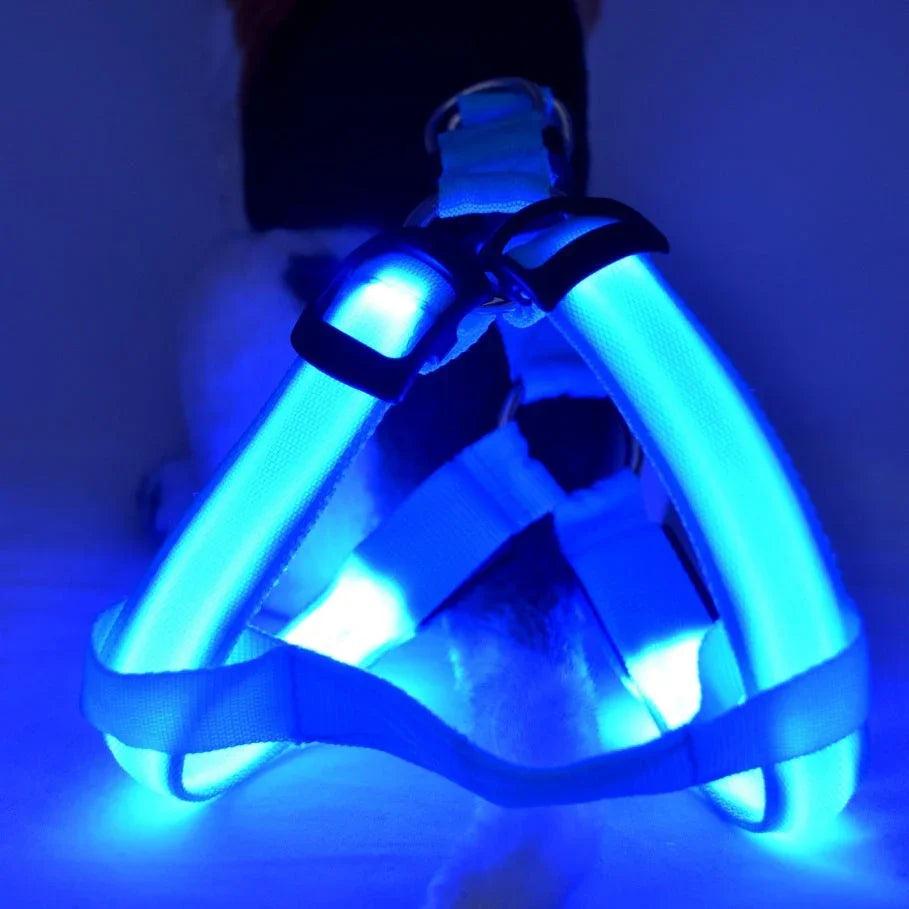 Pet Products LED Luminous Dog Chest Strap Large Dog Luminous Dog Leash EX-STOCK Canada 