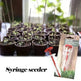Plastic Mini Seed Dispenser Garden Tools - EX-STOCK CANADA