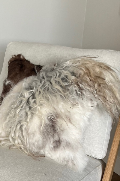 Mélange Sheepskin Pillow, curly wool 