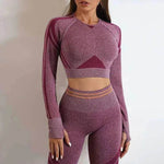 Seamless Yoga Pants Sports Gym Fitness Leggings Or Long Sleeve Tops Outfit - EX-STOCK Canada