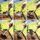 Small Shovel Set For Household Flower Planting Tools - EX-STOCK Canada