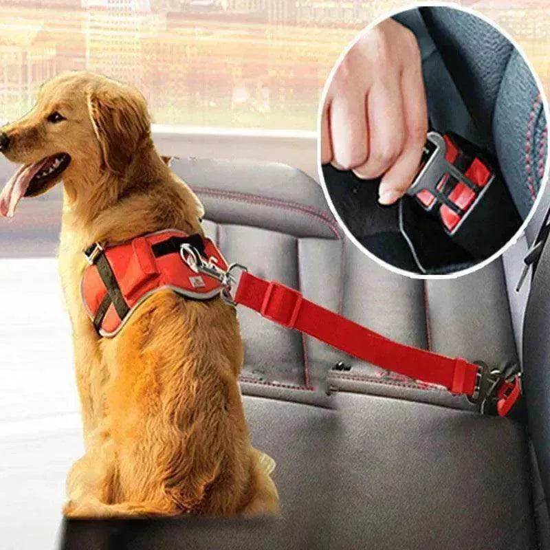 Telescopic Traction Rope For Pet Car Seat Belt - EX-STOCK Canada