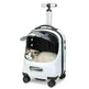 Transparent Breathable Portable Bag Expandable Trolley Backpack - EX-STOCK CANADA
