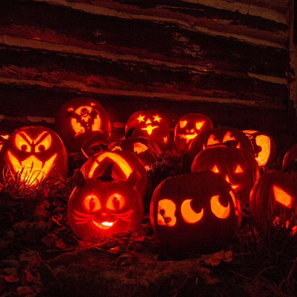 13Pcs Halloween Pumpkin Carving Kit Stainless Steel Carving Kit Pumpkin Sculpting Cutting Kit Halloween Decorative Tools - EX-STOCK Canada