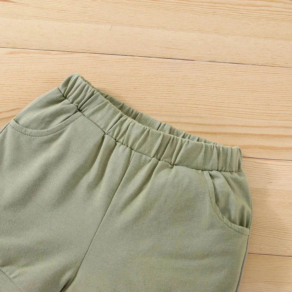 Boy's Little Dinosaur Lapel Cotton Short Sleeve Top Short Pants Suit Two piece for boys. - EX-STOCK Canada