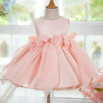 Elegant Princess Birthday girl dress Party dress flower girl dress - EX-STOCK Canada