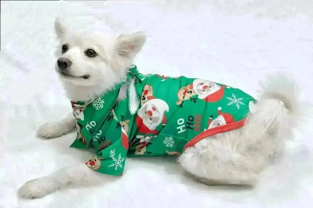 Christmas Pajamas For Family Matching Family Christmas PJs Sets Santa Claus Printed Top Sleepwear - EX-STOCK CANADA
