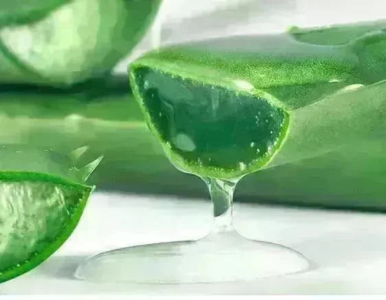 Aloe Gel Skin Care Moisturizing Face Cream - EX-STOCK CANADA