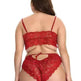 Amazon exclusively for lingerie - EX-STOCK Canada