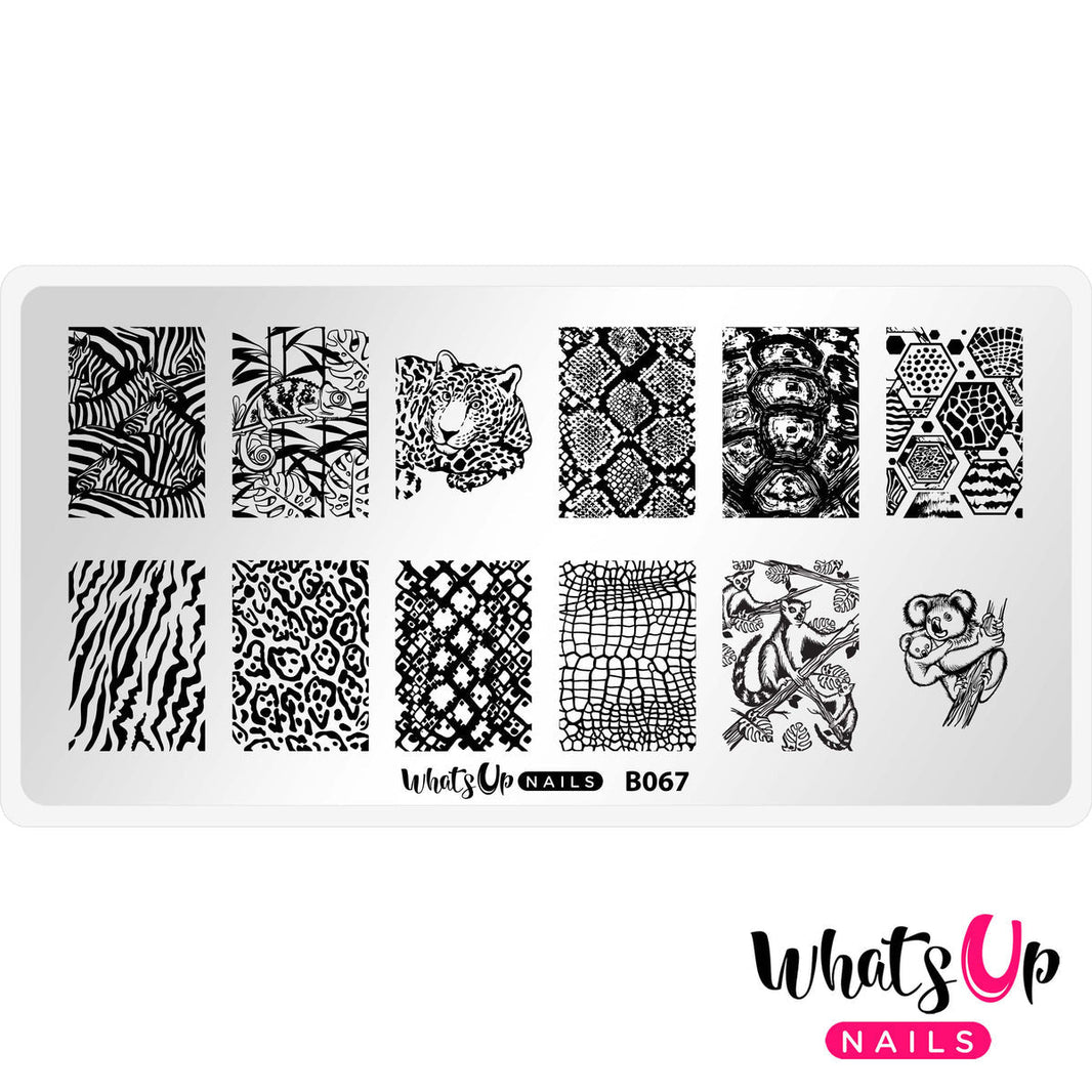 Whats Up - Zoology Trip Stamping Plate EX-STOCK Canada 