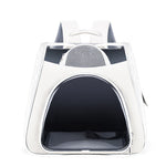 Foldable Transparent Pet Carrier Bag – Breathable Travel Bag for Cats & Small Dogs | 5 Colours
