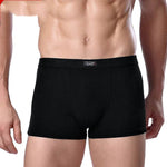 Men's Underwear Boxer Briefs Panties Bamboo Fiber Modal - EX-STOCK Canada