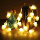 LED Simulation Transparent Pine Nut Light String - EX-STOCK CANADA