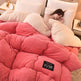 New Thick Lambskin Winter Duvet Insert Double-sided Velvet Lambswool Warm Quilt EX-STOCK Canada 
