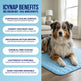 Pet Ice Silk Cooling Mat for Dogs & Cats – Breathable, Anti-Slip Summer Pad