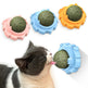 Cat playing with a green ball in a blue holder on a white background