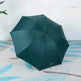 Black Gum Sunscreen Anti Ultraviolet Umbrella Advertising Umbrella Daisy Umbrella Umbrella Girl - EX-STOCK Canada