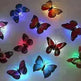 Butterfly led night light x12 - EX-STOCK CANADA