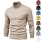 Men's Plain Slim Pullover Polo Sweatshirt Turtleneck Sweater Winter Casual Tops Men - EX-STOCK Canada