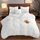 4PCs Plush Duvet Cover Set Luxury Ultra Soft Velvet Duvet EX-STOCK Canada 