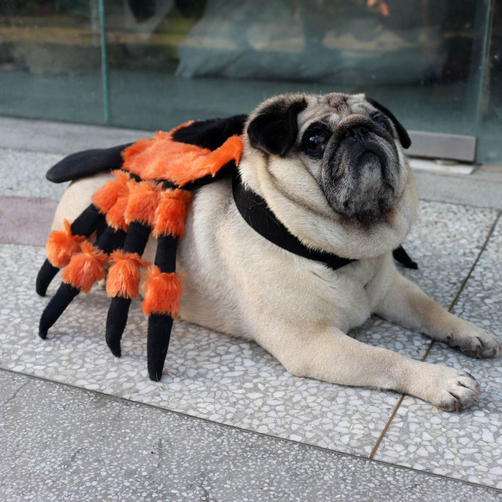 Pet Clothes Halloween Spider Pet Costume - EX-STOCK Canada